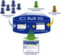 انواع سیستم مدیریت محتوا (CMS) ،مزایا و معایب آن چیست؟